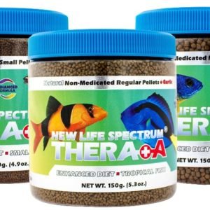 NEW LIFE SPECTRUM